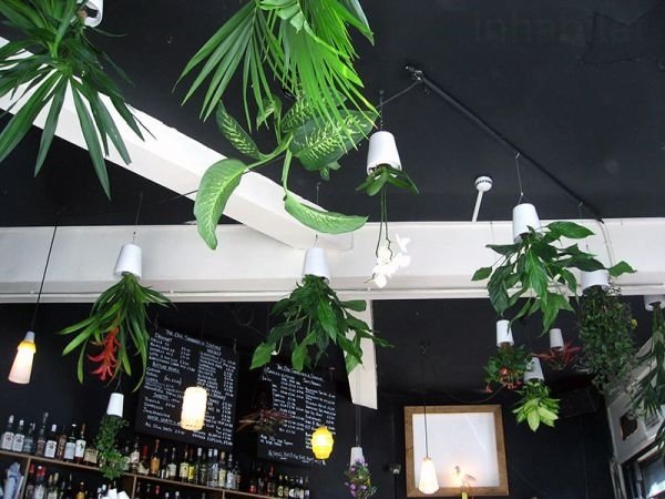 Nápady na zariaďovanie izbových kvetov Interiérové nápady na zariaďovanie kvetín