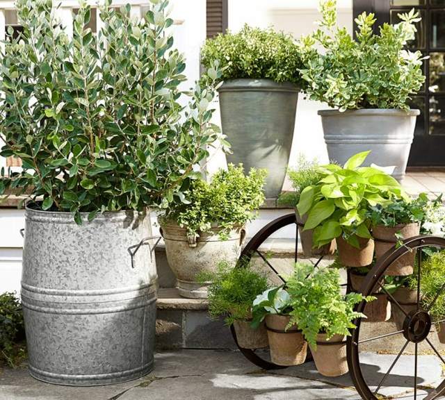 Vedro železné kvetináče dekorácie nápady záhradné terasy Železné kvetináče, dekorácie, záhradné terasy, nápady, zelené rastliny