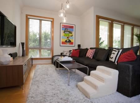 Nábytok-nápady-pet-schody-sedačka-čivava