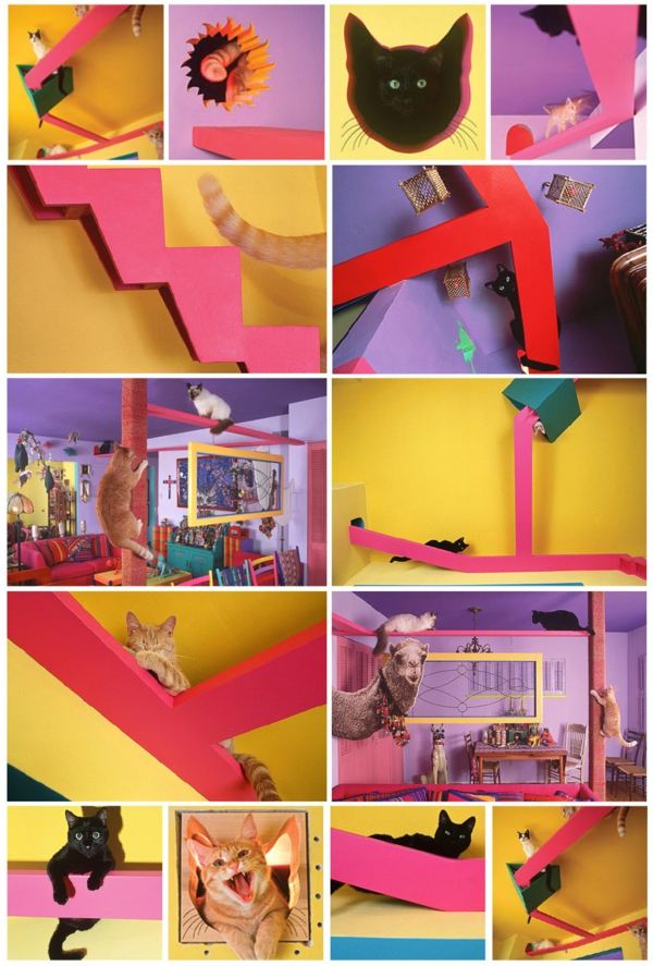 Nábytok-nápady-domáci-dom-mačka-dom-san-diego