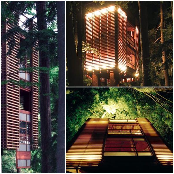 moderný dom na stromovej kanade moderný dom na strome v Kanade