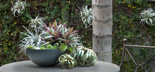 originálne nápady pre kvetináče moderný dizajn originálne nápady kvetináče moderný dizajn