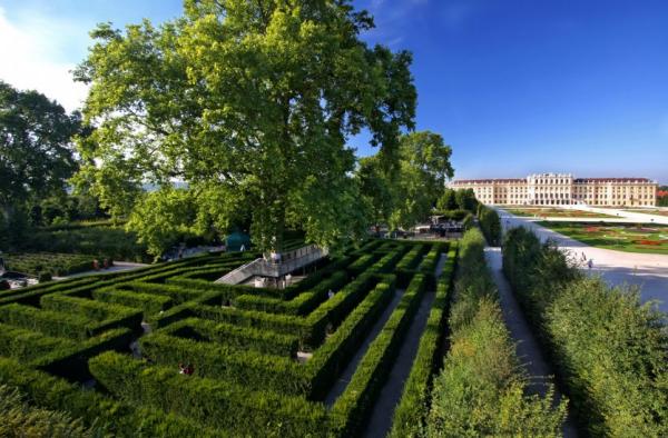 Bludiská a labyrinty zaisťujú živé brány Schönbrunn