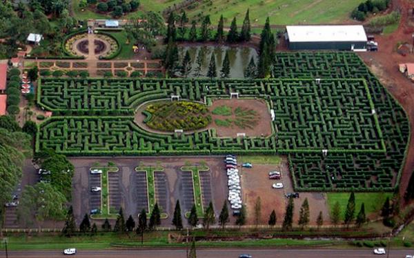 Bludiská a labyrinty svetová záhrada umenie havaj ananás