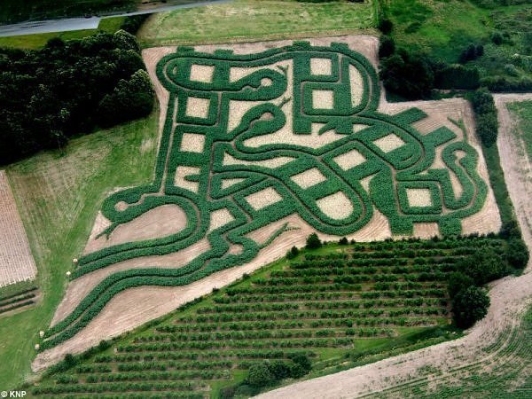 Bludiská a bludisko hadí dizajn
