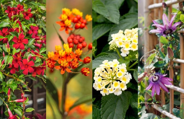 Z terasy je na južnej strane dostatok slnka. Tipy