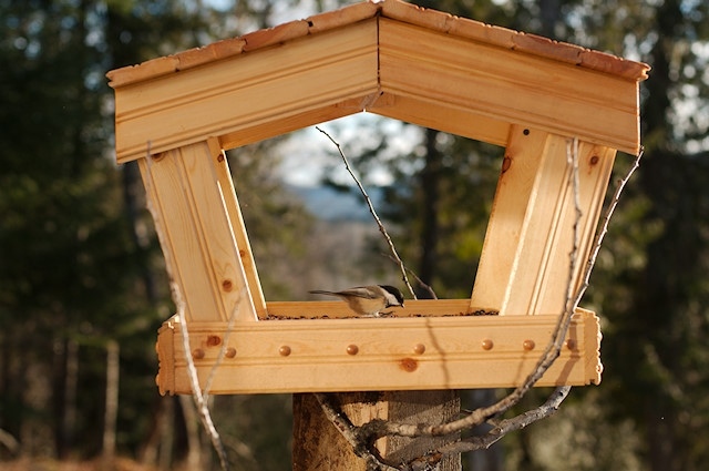 nápady na záhradné dekorácie vtáčie búdky kúpiť drevostavbu Kúpte si drevené vtáčie búdky alebo si ich postavte sami