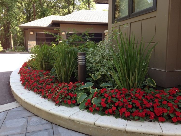 predzáhradka-dizajn-červeno-kvitnúce-kvety-hraničné-funkia-plačúce obr