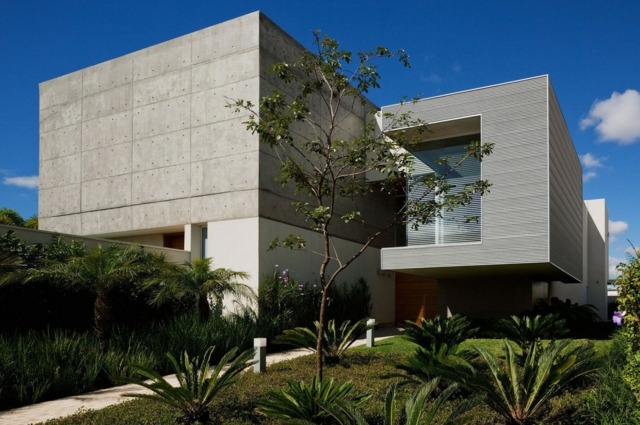 Príklady dizajnu predzáhradky rastlín palmy