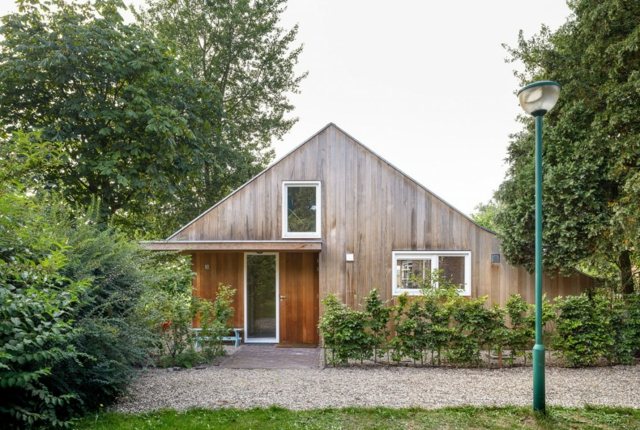 Nápady na dizajn štrk popínavé rastliny vysoké kríky