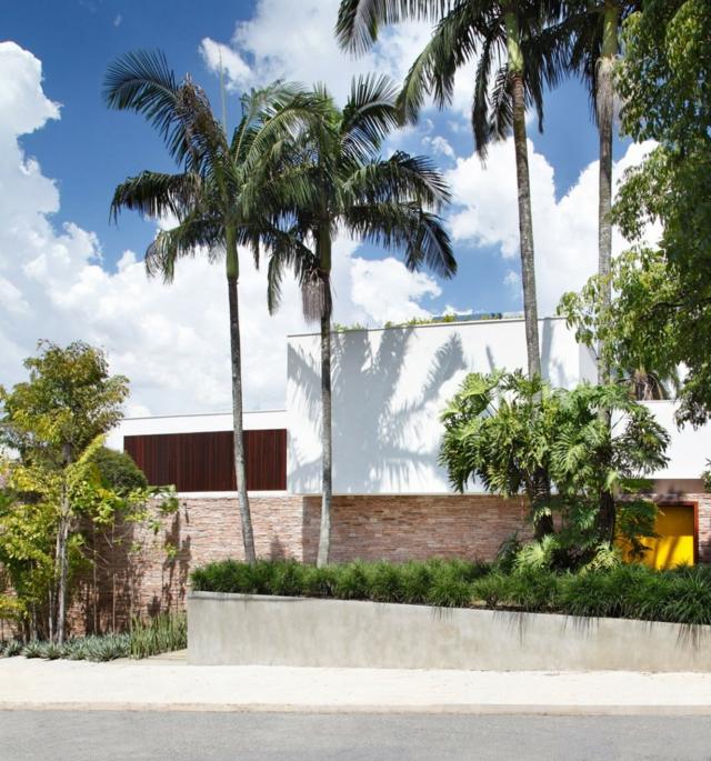 Vysoké stromy palmy listnaté stromy exotické okrasné trávy