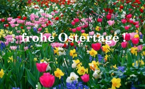 Veľkonočné pozdravy nápady karta pre tlač-kvetinové lúčne tulipány farebné