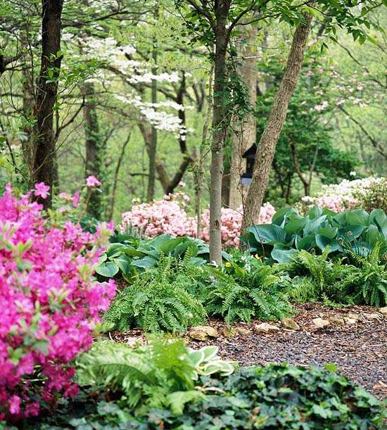 Pravidlá záhradného dizajnu. Plánovanie záhradníckych pravidiel