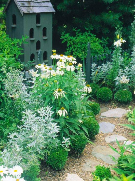 Pravidlá krivky výsadby záhradného dizajnu