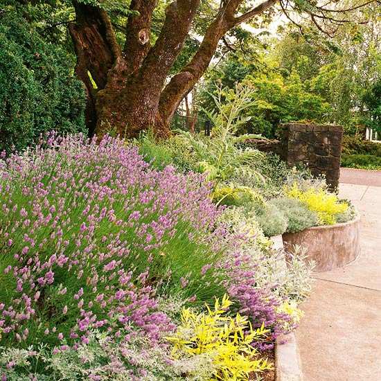 Pravidlá záhradný dizajn vrstvy svieža výsadba