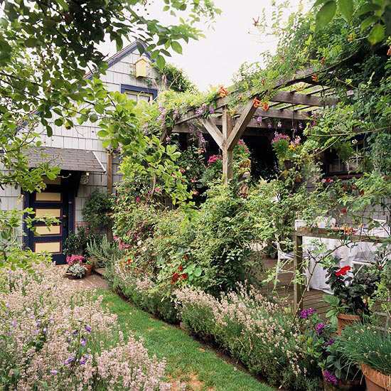 Terasa-rastliny-zvislá stena