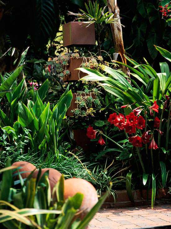 Nápady na verandu v kvetinovom boxe