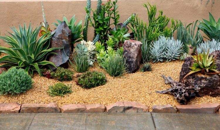 kaktusy a sukulenty nápady záhradný dizajn-jednoduchá starostlivosť-aloe-skalka-cesta