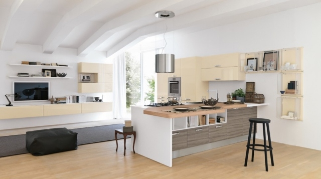 Priestranná kuchyňa zariadená ako svetelný dizajn s príveskom „naživo“