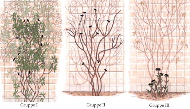 Skupiny rezané plamienkom vysvetlili