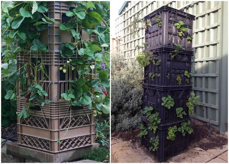 Jahodová veža vyrobená z plastových boxov