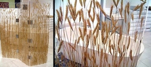 nápady na záclony v kúpeľni pšenica