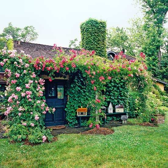 nápady záhradný dizajn záhradný dvor vytvárať popínavé rastliny nápady pre dizajn záhrady vytvárajú popínavé rastliny na záhradnom nádvorí