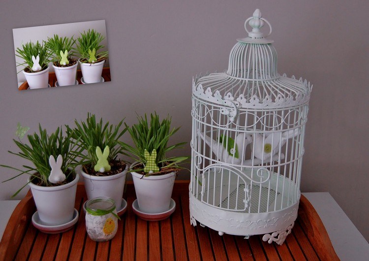 deco-nápady-veľkonočné-biele-vtáčie-klietkové-kvetináče-tráva-zajačik-dekorácie