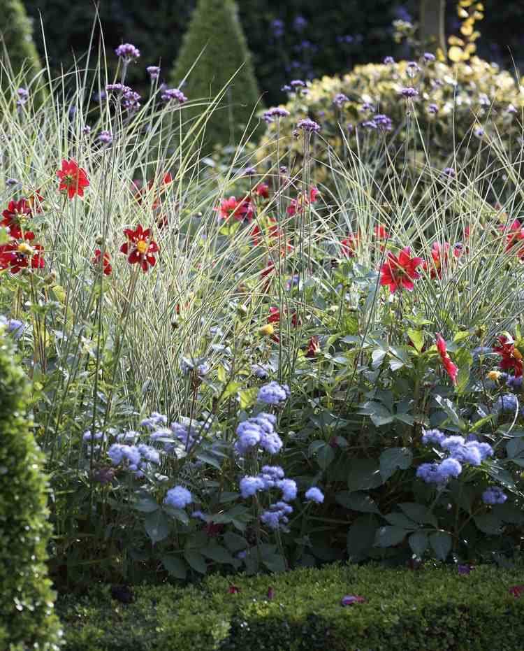 nápady na záhradu chata záhrada trvalka záhon dahlias nenáročná na starostlivosť