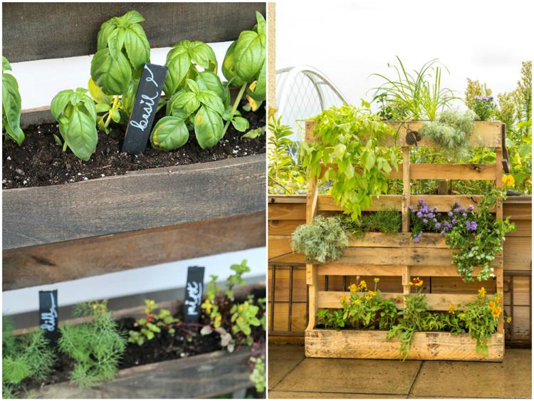 vertikálne záhradné nápady s trendom paliet z bylín