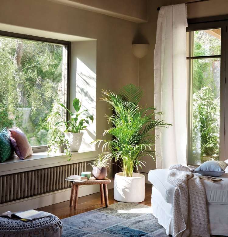 deko-nápady-izbové rastliny-tipy na starostlivosť