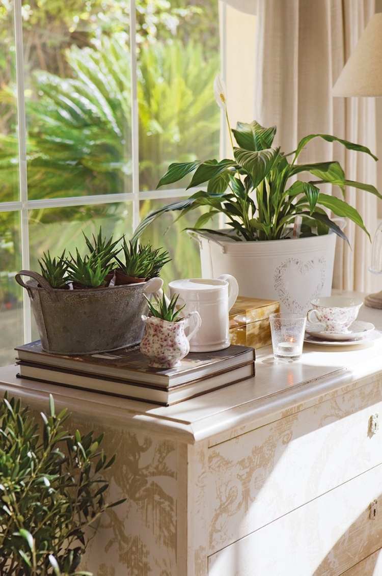 dekorácia-nápady-izbové rastliny-sukulentné-aranžmán