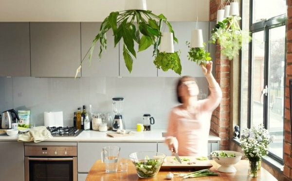 moderné kuchynské izbové rastliny závesné deco sivé prevedenie kuchynských skriniek