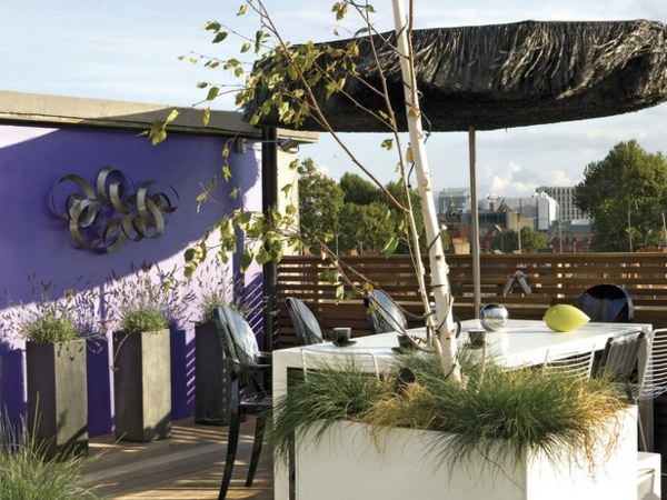 malá záhradná fialová stena farba dreveného plotu nápady na rošt malá záhrada fialová farba steny drevený plot čierny slnečník