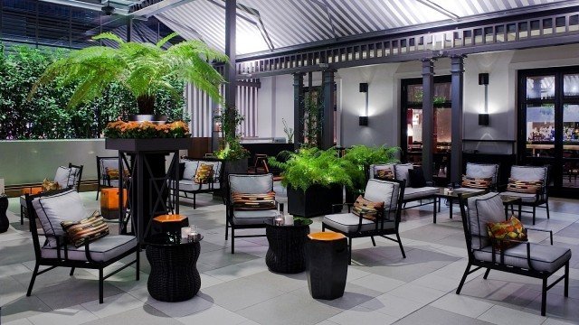 caffe-terasa-rastliny-papradie-kvetináče-patio-magnum