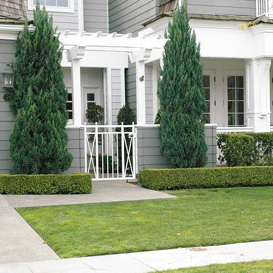 nápady na prvky vertikálnych tvarov záhradného dizajnu