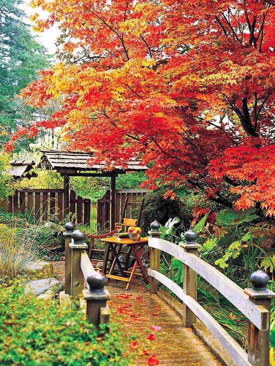 nápady na prvky záhradného dizajnu jesennej krajiny