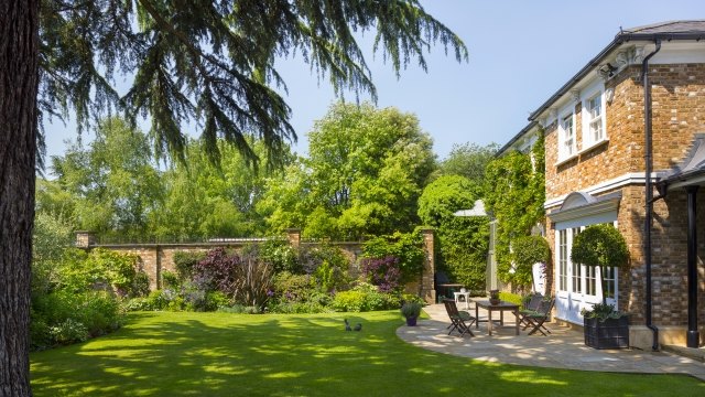 veľký trávnik obklopený zeleným čerstvým vzduchom čiastočne zatienený