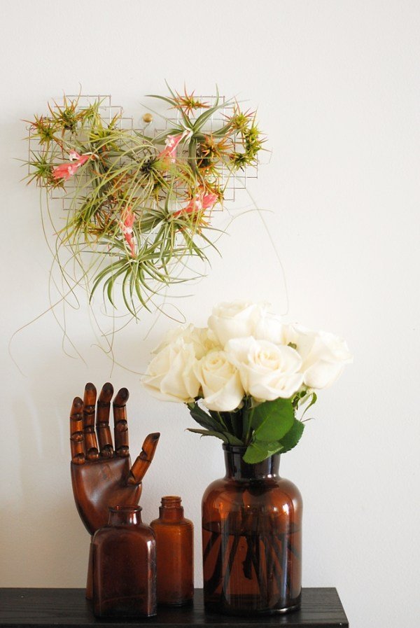 tillandsien airplants drôt v tvare srdca stena deco deco tillandsien airplants drôtený tvar srdca