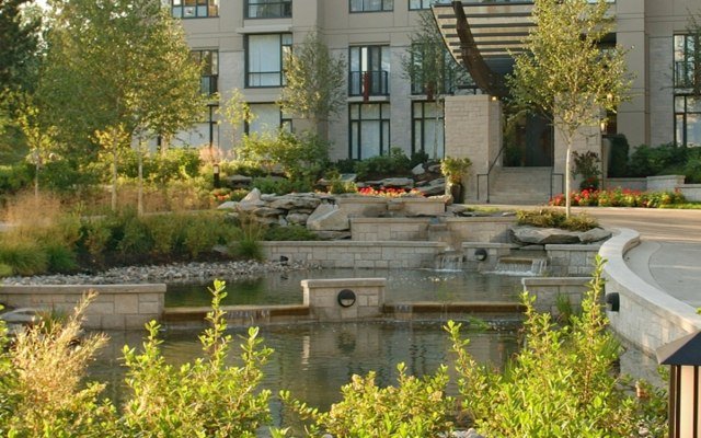 Voda obsahuje okrasné stromy záhradné jazierko záhony brezový okrasný strom