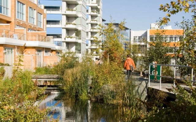 Vodné rastliny okrasné stromy balkón krásny výhľad