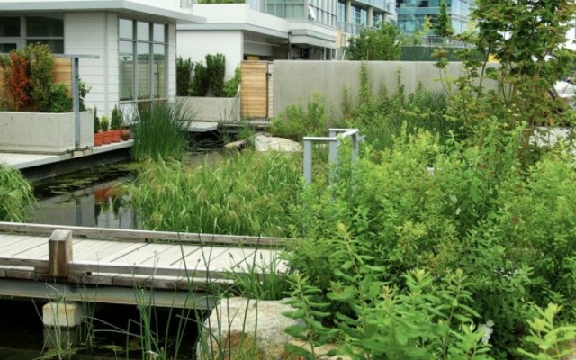 Vodné rastliny drevený most predzáhradky