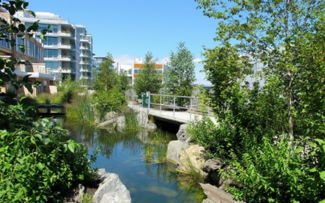 vytvorte okrasné stromy zelený most obrazovky ochrany osobných údajov