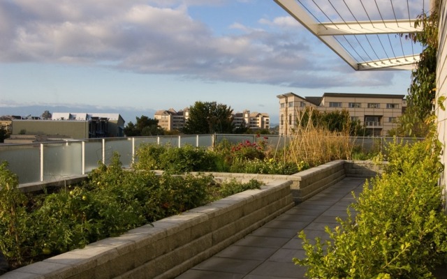 Dlažobné kocky so zeleninovým záhradným strešným oknom