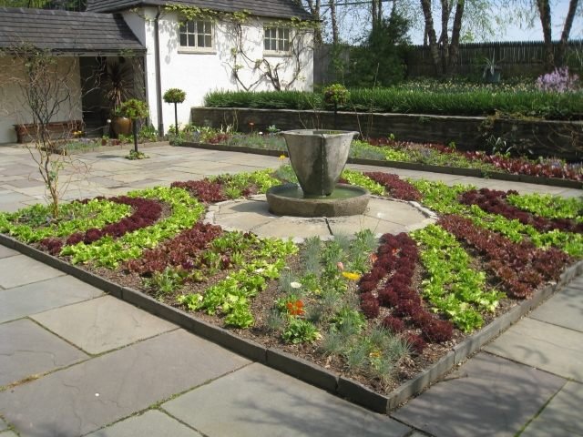 dekoratívne rastliny vytvárajú vlny zeleninového záhradného šalátu dekoratívne vlny zeleninovej záhradnej šalátovej fontány