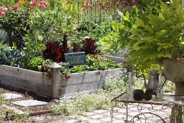 zeleninová záhrada potager zeleninové kvety vyvýšený záhon dekoratívne zeleninové záhrady potager zeleninové kvety vyvýšený záhon