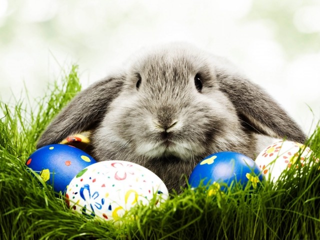 veľkonočný zajačik nápady dekorácie dom maľované vajíčka