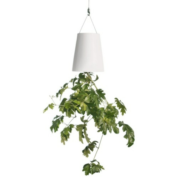 závesné kvetináče domáca záhrada cool nápad na darček hobby záhradník závesné kvetináče domáca záhrada nápad na darček hobby záhradník