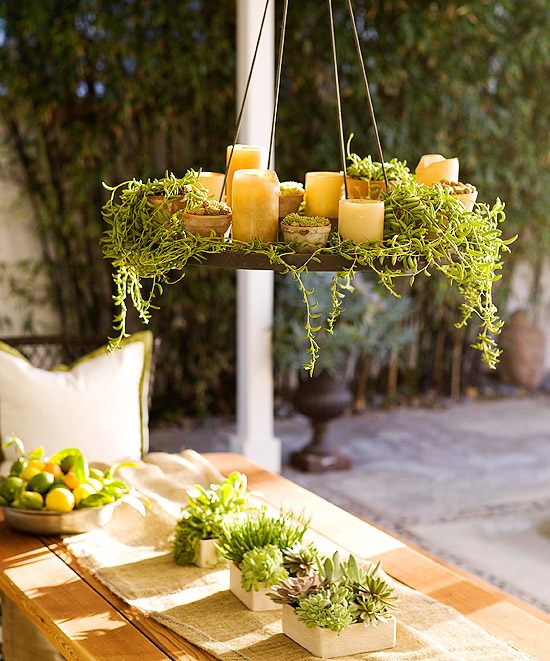 dizajn rastliny sviečky vankúš dekorácia zelená svieža