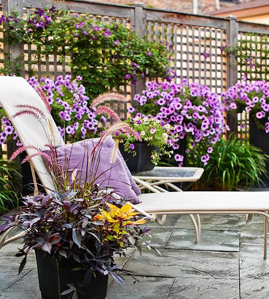 dizajnové ležadlá pohodlné kvety purpurové dekoračné vankúše